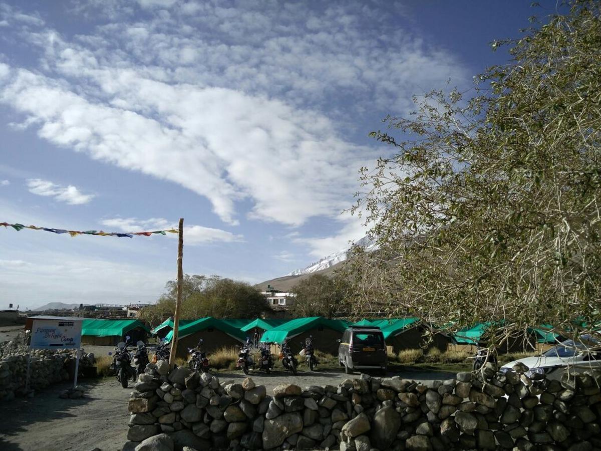 Pangong Delight Camps And Cottages Spangmik エクステリア 写真