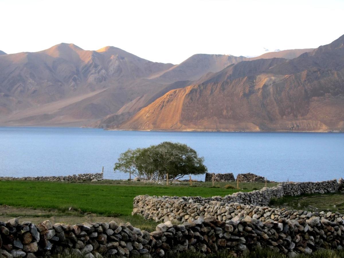 Pangong Delight Camps And Cottages Spangmik エクステリア 写真